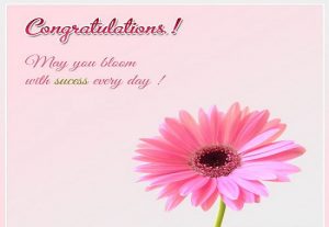 {60+} Best Congratulations Wishes, Messages, Quotes on Job