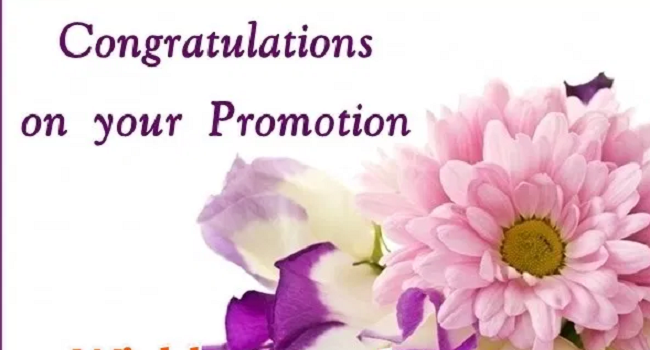 {60+} Best Congratulations Wishes, Messages, Quotes on Job